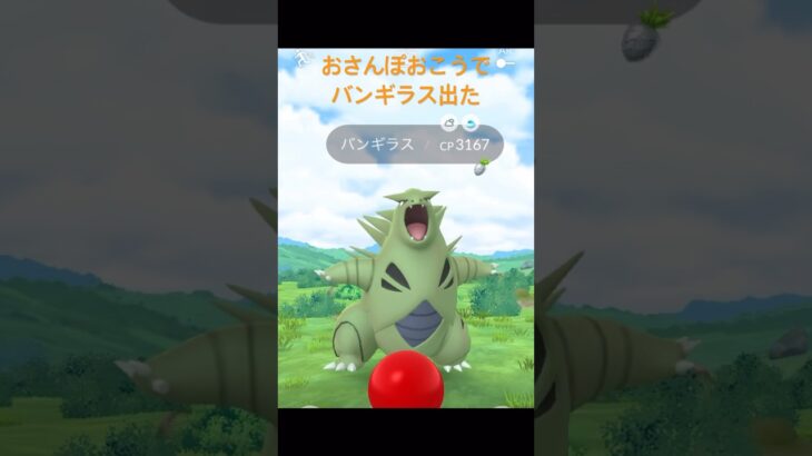 おさんぽおこうでバンギラス出た！ #ポケモン #pokemon #ピカチュウ #なみなみ #ポケモンgo #バンギラス
