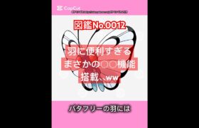 ポケモン雑学【バタフリー】#ポケモン #pokemon #pokémon #ポケポケ #ポケモンgo   #ポケモン雑学 #ポケモンカード #ポケモンsv #anime  #japan #バタフリー