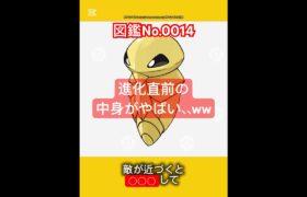 ポケモン雑学【コクーン】#ポケモン #pokemon #pokémon #ポケポケ #ポケモンgo   #ポケモン雑学 #ポケモンカード #ポケモンsv #anime  #japan #コクーン #虫