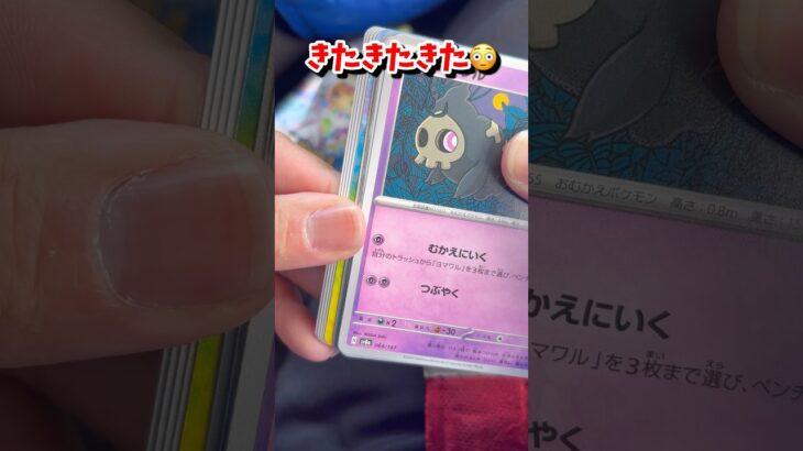 【ポケカ】永遠にテラスタルフェス開封したい#ポケモンカード #ポケカ #ポケモン #pokemon #ポケポケ #shorts