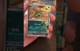 マスボなんだけどなぁ… #ポケモンカード #ポケカ #pokemoncards #バズれ #ポケモン #pokemon #ポケカ開封 #pokemontcg #おれポケ #テラスタルフェス