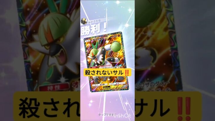 【ポケポケ】特性の為に殺されないサル‼️#ポケモン #ポケモンカード #ポケカ #ポケポケ #pokemonpocket #pokemon #pokemoncards #ポケモンカードゲーム