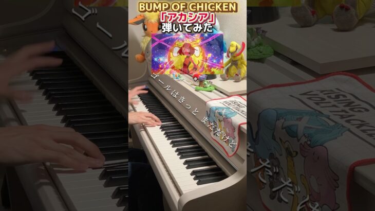 「アカシア」弾いてみた #shorts #ポケモン #bumpofchicken #ピアノ #耳コピ #弾いてみた #gotcha #acacia #ポケットモンスター