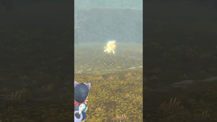 ポケモン界の可愛いテディベア！色違いヒメグマ親分【ポケモンレジェンズアルセウス】#shorts #ポケモン #pokemon #色違い