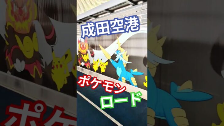 結局ピカチュウてすよね。#shorts #ポケモン #pokemon #成田空港