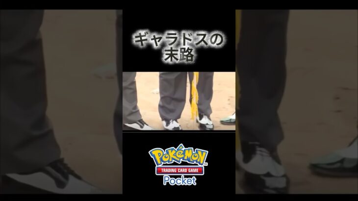 【ポケポケ】新環境でのギャラドスの末路… #ポケポケ #ポケモン #ポケカ #shortvideo #shortsvideo #pokepoke  #shorts #short #pokemon