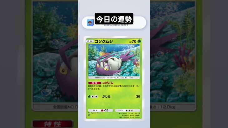 #ポケモンカード #ポケカ #ポケモン