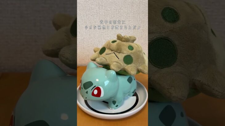 フシギダネのミニ植木鉢、かわいすぎてダイソウゲン。