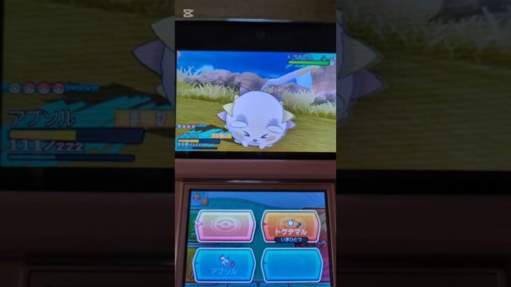 色違いトゲデマル #ポケモン