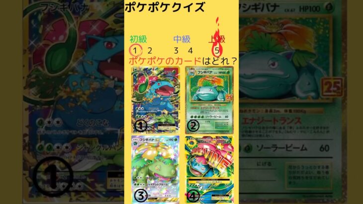 【ポケポケ】 ポケポケクイズ！！#ポケポケ #ポケモン #カードゲーム #ポケカ #ポケモンカード クラウン #神引き #ポケ活  #ヒカキンポケポケ #ポケクイズ #ポケモンカード#寶可夢